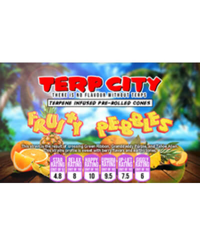 Terp City Terpene Infused Pre Roll Cone image 1