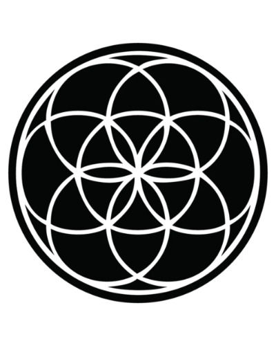 Moodmats - White Seed 5"